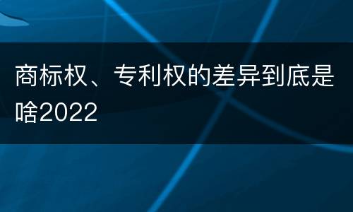 商标权、专利权的差异到底是啥2022