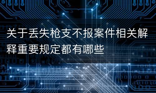 关于丢失枪支不报案件相关解释重要规定都有哪些