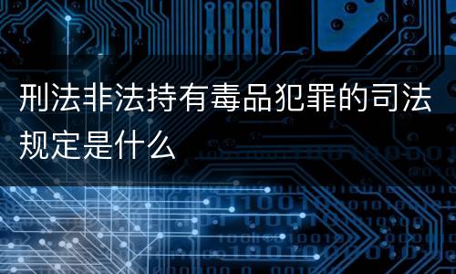 刑法非法持有毒品犯罪的司法规定是什么