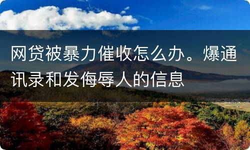 网贷被暴力催收怎么办。爆通讯录和发侮辱人的信息