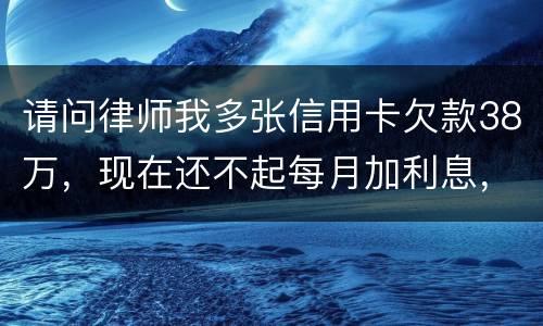 请问律师我多张信用卡欠款38万，现在还不起每月加利息，我怎么可以协商还银行
