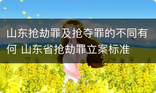 山东抢劫罪及抢夺罪的不同有何 山东省抢劫罪立案标准