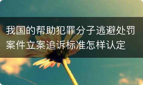 我国的帮助犯罪分子逃避处罚案件立案追诉标准怎样认定