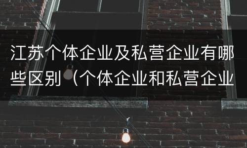 江苏个体企业及私营企业有哪些区别（个体企业和私营企业有什么区别）