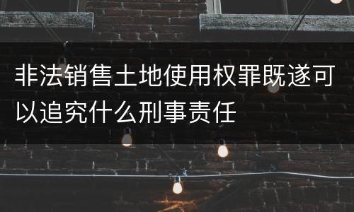 非法销售土地使用权罪既遂可以追究什么刑事责任