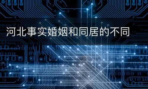 河北事实婚姻和同居的不同