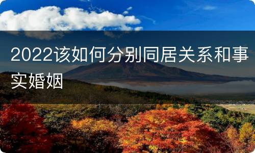 2022该如何分别同居关系和事实婚姻