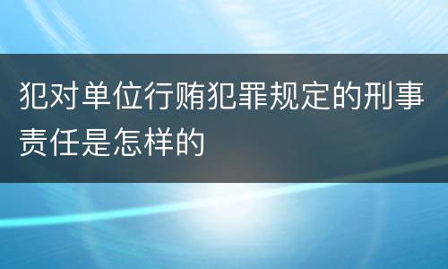 犯对单位行贿犯罪规定的刑事责任是怎样的