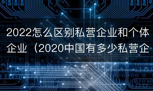 2022怎么区别私营企业和个体企业（2020中国有多少私营企业）