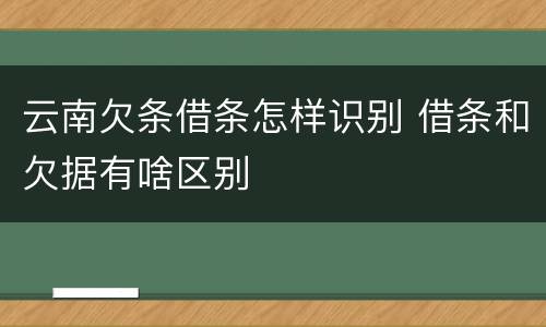 云南欠条借条怎样识别 借条和欠据有啥区别