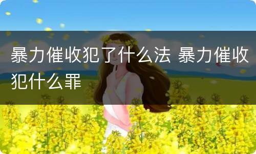 暴力催收犯了什么法 暴力催收犯什么罪