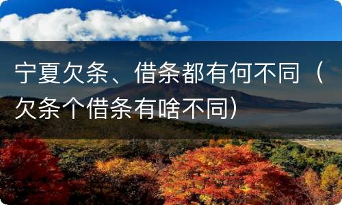 宁夏欠条、借条都有何不同（欠条个借条有啥不同）