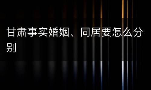 甘肃事实婚姻、同居要怎么分别