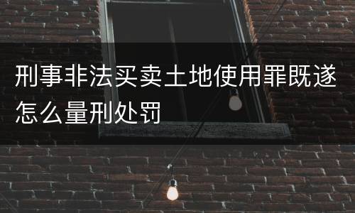 刑事非法买卖土地使用罪既遂怎么量刑处罚