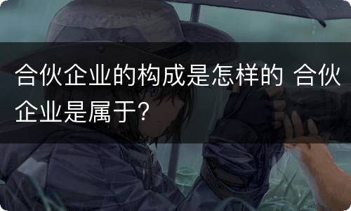 合伙企业的构成是怎样的 合伙企业是属于?