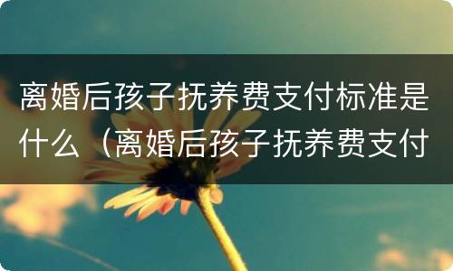 离婚后孩子抚养费支付标准是什么（离婚后孩子抚养费支付标准是什么样的）