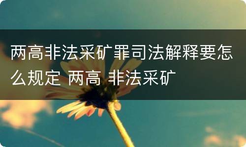两高非法采矿罪司法解释要怎么规定 两高 非法采矿