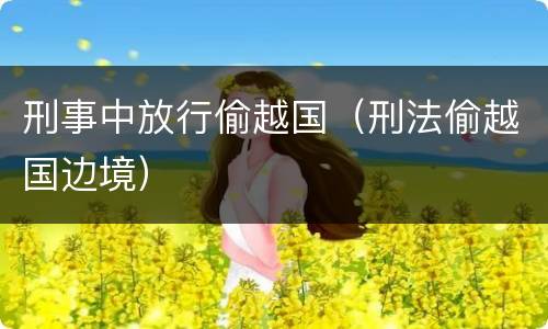 刑事中放行偷越国（刑法偷越国边境）