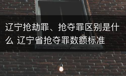 辽宁抢劫罪、抢夺罪区别是什么 辽宁省抢夺罪数额标准