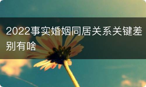 2022事实婚姻同居关系关键差别有啥