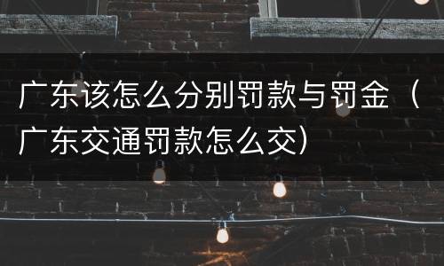 广东该怎么分别罚款与罚金（广东交通罚款怎么交）