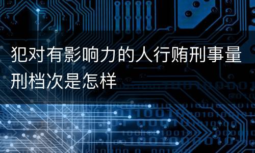 犯对有影响力的人行贿刑事量刑档次是怎样