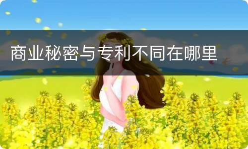 商业秘密与专利不同在哪里