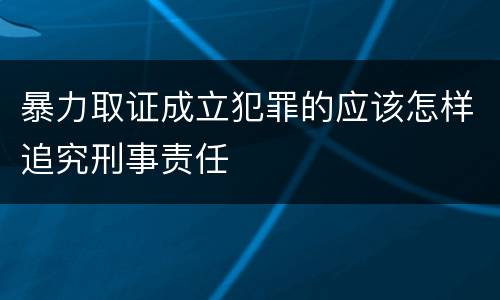 暴力取证成立犯罪的应该怎样追究刑事责任
