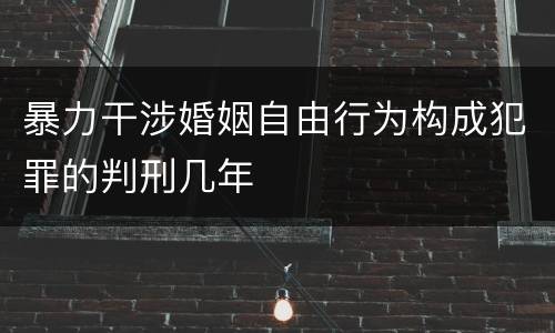 暴力干涉婚姻自由行为构成犯罪的判刑几年