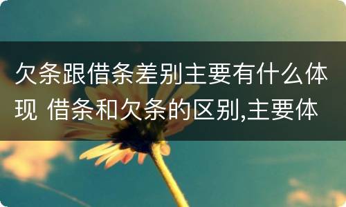 欠条跟借条差别主要有什么体现 借条和欠条的区别,主要体现在哪些方面?