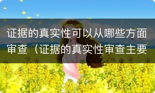 证据的真实性可以从哪些方面审查（证据的真实性审查主要包括哪些内容）
