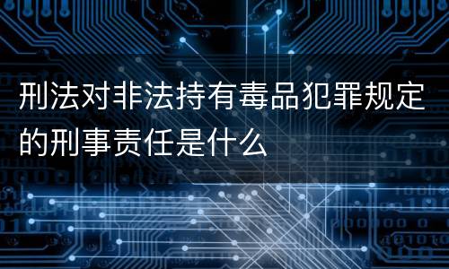 刑法对非法持有毒品犯罪规定的刑事责任是什么