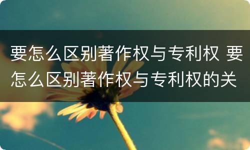 要怎么区别著作权与专利权 要怎么区别著作权与专利权的关系