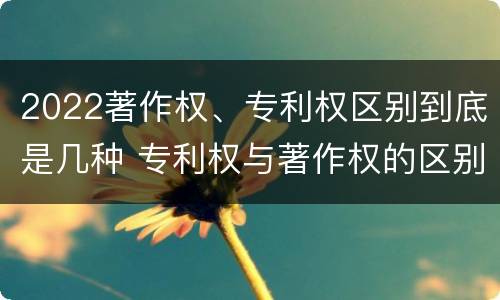 2022著作权、专利权区别到底是几种 专利权与著作权的区别