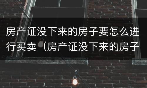 房产证没下来的房子要怎么进行买卖（房产证没下来的房子要怎么进行买卖过户）