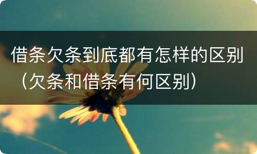 借条欠条到底都有怎样的区别（欠条和借条有何区别）
