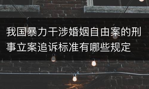 我国暴力干涉婚姻自由案的刑事立案追诉标准有哪些规定