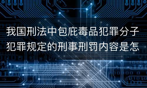 我国刑法中包庇毒品犯罪分子犯罪规定的刑事刑罚内容是怎样的