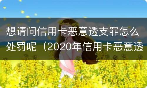想请问信用卡恶意透支罪怎么处罚呢（2020年信用卡恶意透支判刑案例）