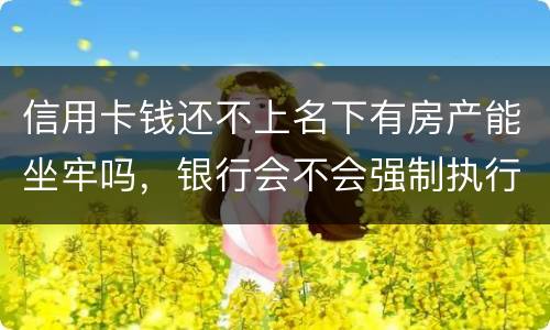 信用卡钱还不上名下有房产能坐牢吗，银行会不会强制执行