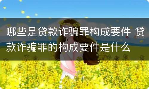 哪些是贷款诈骗罪构成要件 贷款诈骗罪的构成要件是什么