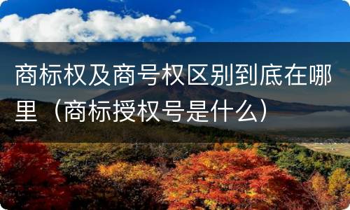 商标权及商号权区别到底在哪里（商标授权号是什么）