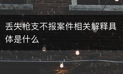 丢失枪支不报案件相关解释具体是什么