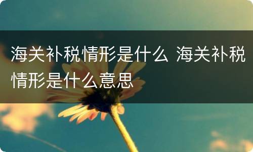 海关补税情形是什么 海关补税情形是什么意思
