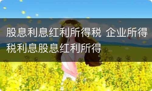 股息利息红利所得税 企业所得税利息股息红利所得