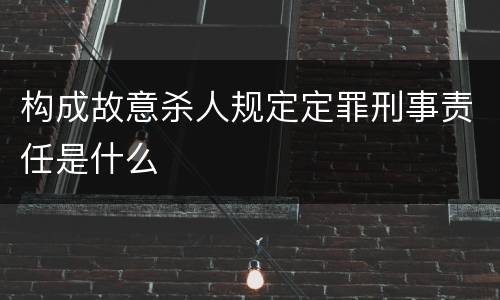 构成故意杀人规定定罪刑事责任是什么