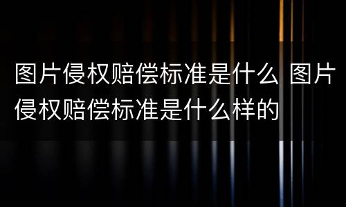 图片侵权赔偿标准是什么 图片侵权赔偿标准是什么样的