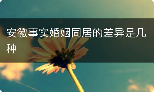 安徽事实婚姻同居的差异是几种