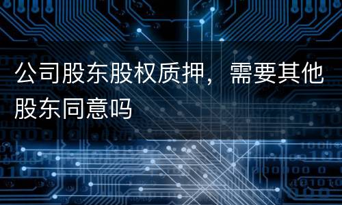 公司股东股权质押，需要其他股东同意吗
