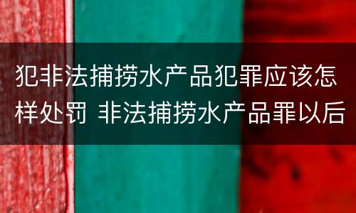 犯非法捕捞水产品犯罪应该怎样处罚 非法捕捞水产品罪以后有什么